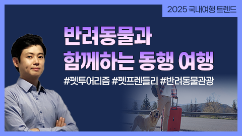 반려동물과 함께하는 동행 여행 강좌 썸네일